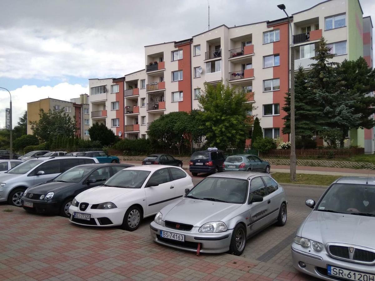 Kaktusik Daire Suwałki Dış mekan fotoğraf